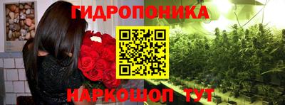 крисы Среднеуральск