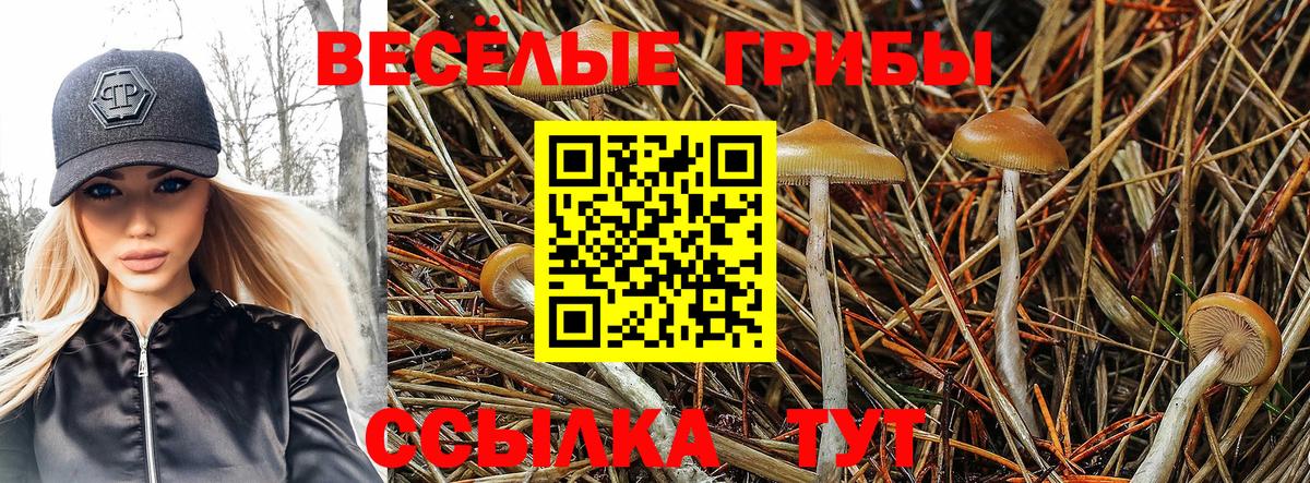 Галлюциногенные грибы GOLDEN TEACHER Белгород